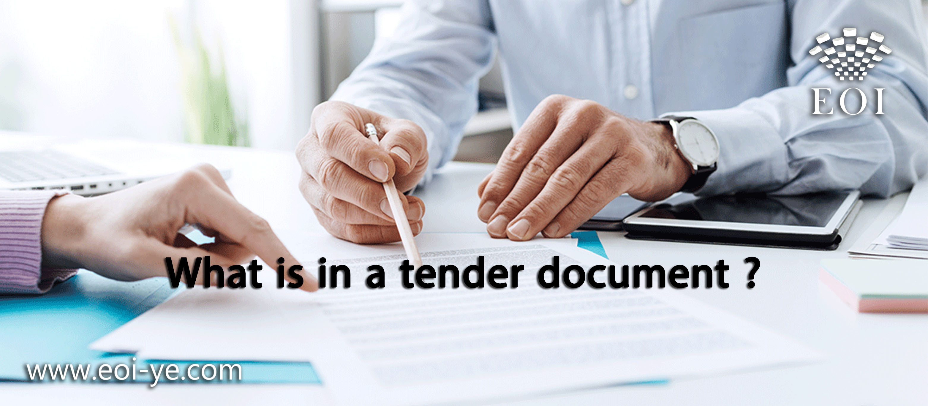 What is in a tender document ? What is in a tender document ?